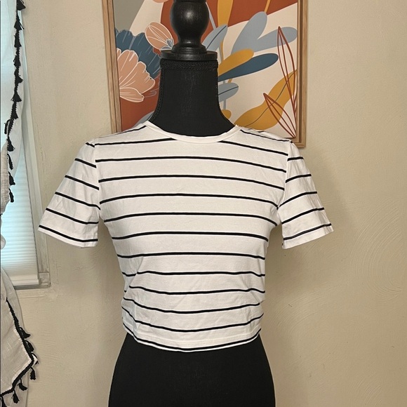 Zara White and Black Striped Short Sleeve Cropped Tee Size M - Picture 2 of 6